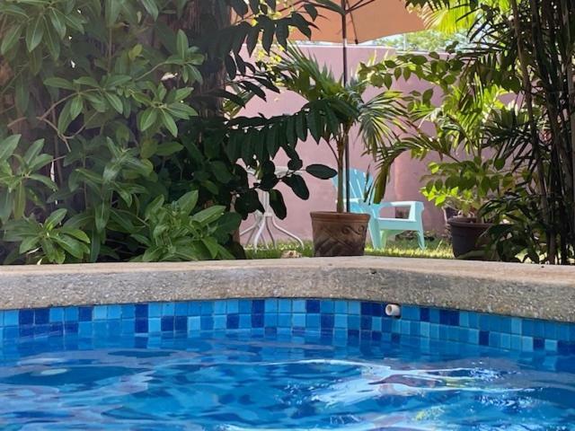 Acogedora Con Bonito Jardin Homestay *
