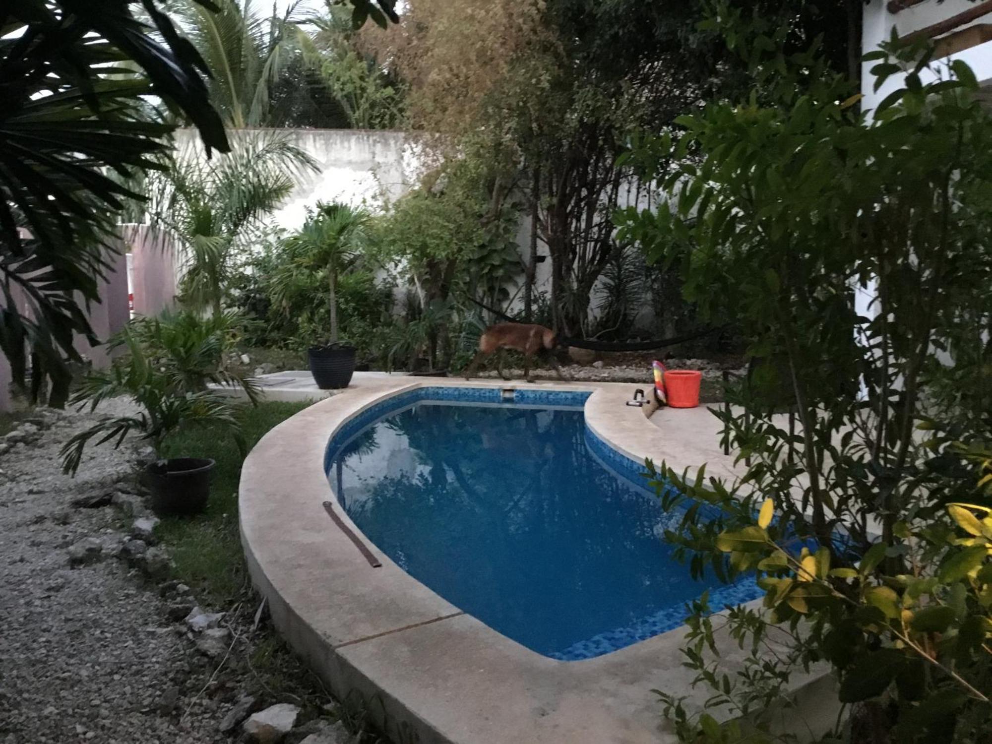 Homestay Acogedora Con Bonito Jardin Cozumel