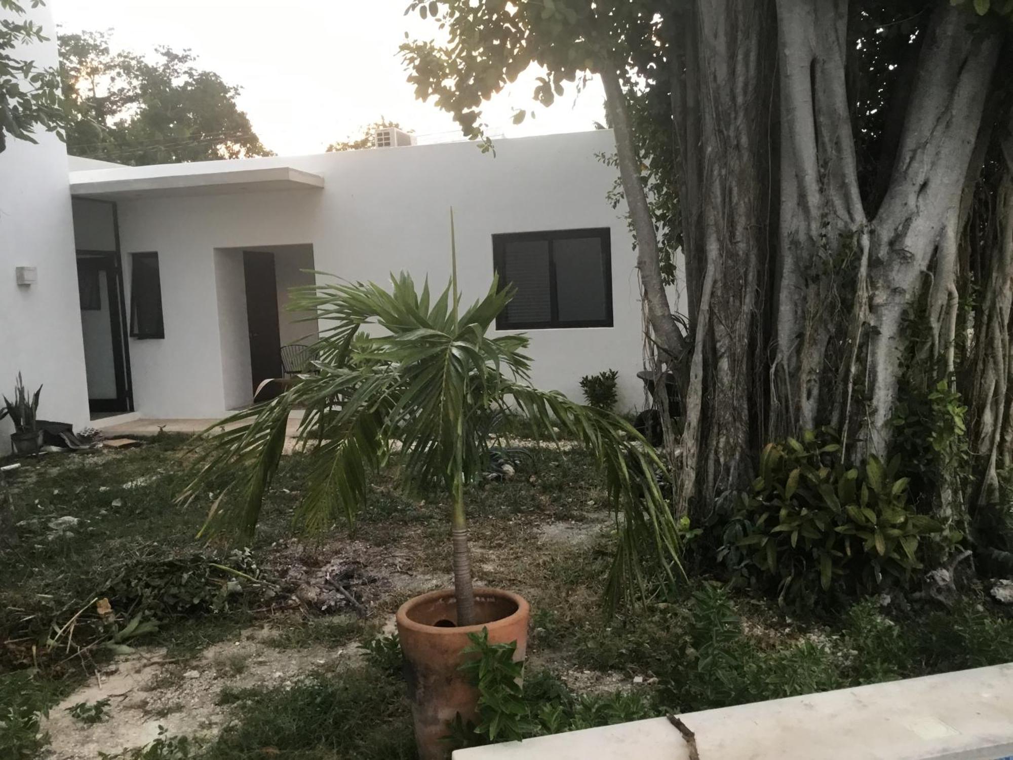 Acogedora Con Bonito Jardin Cozumel