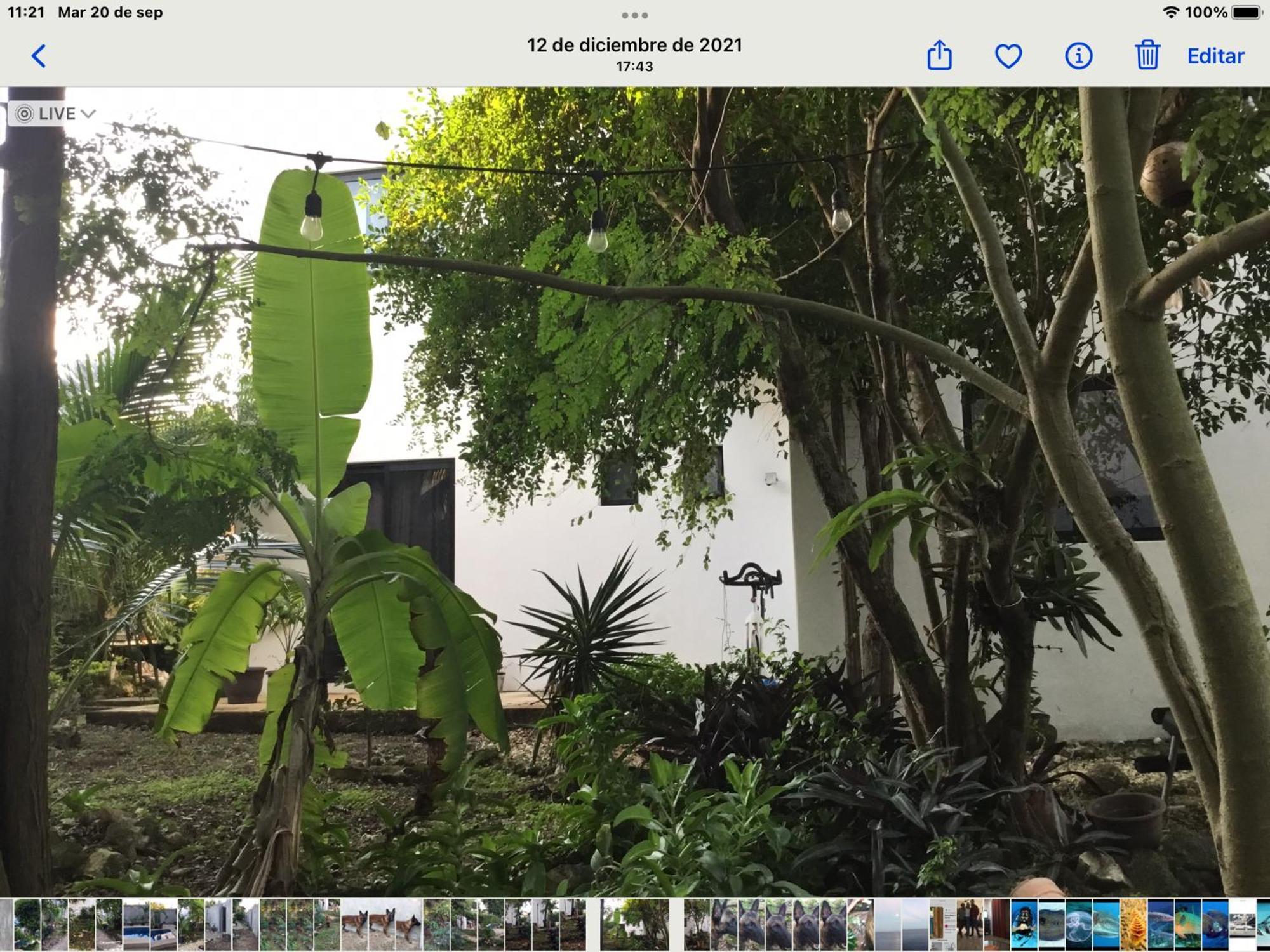 Acogedora Con Bonito Jardin * Cozumel