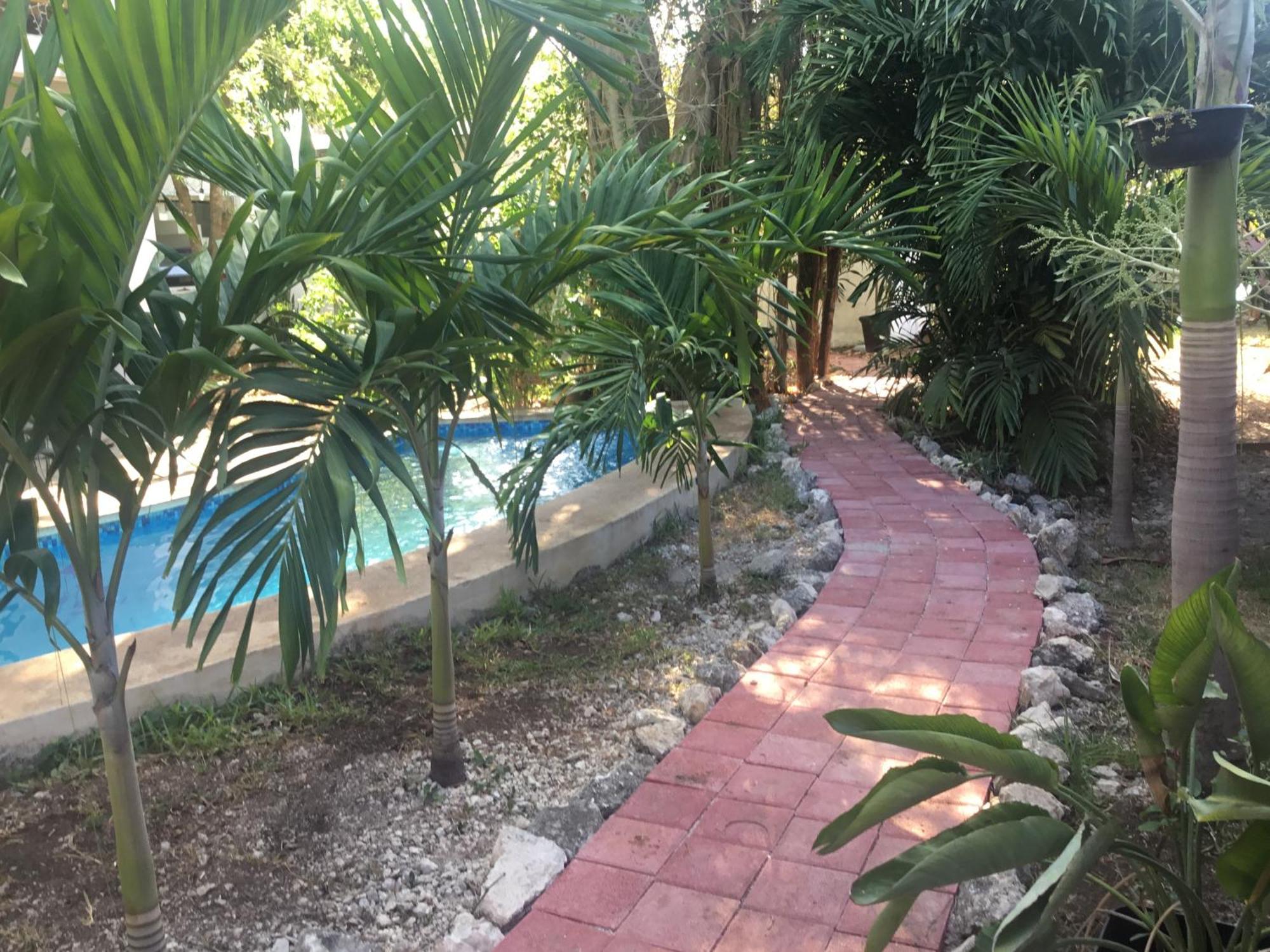 Acogedora Con Bonito Jardin Homestay